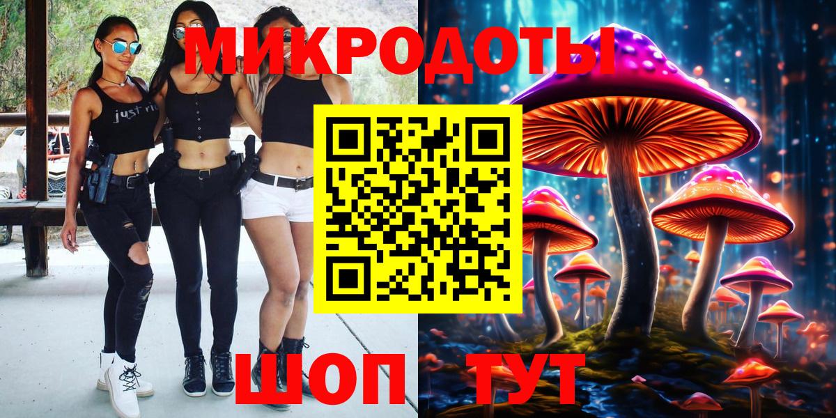 Псилоцибиновые грибы Cubensis Павловский Посад
